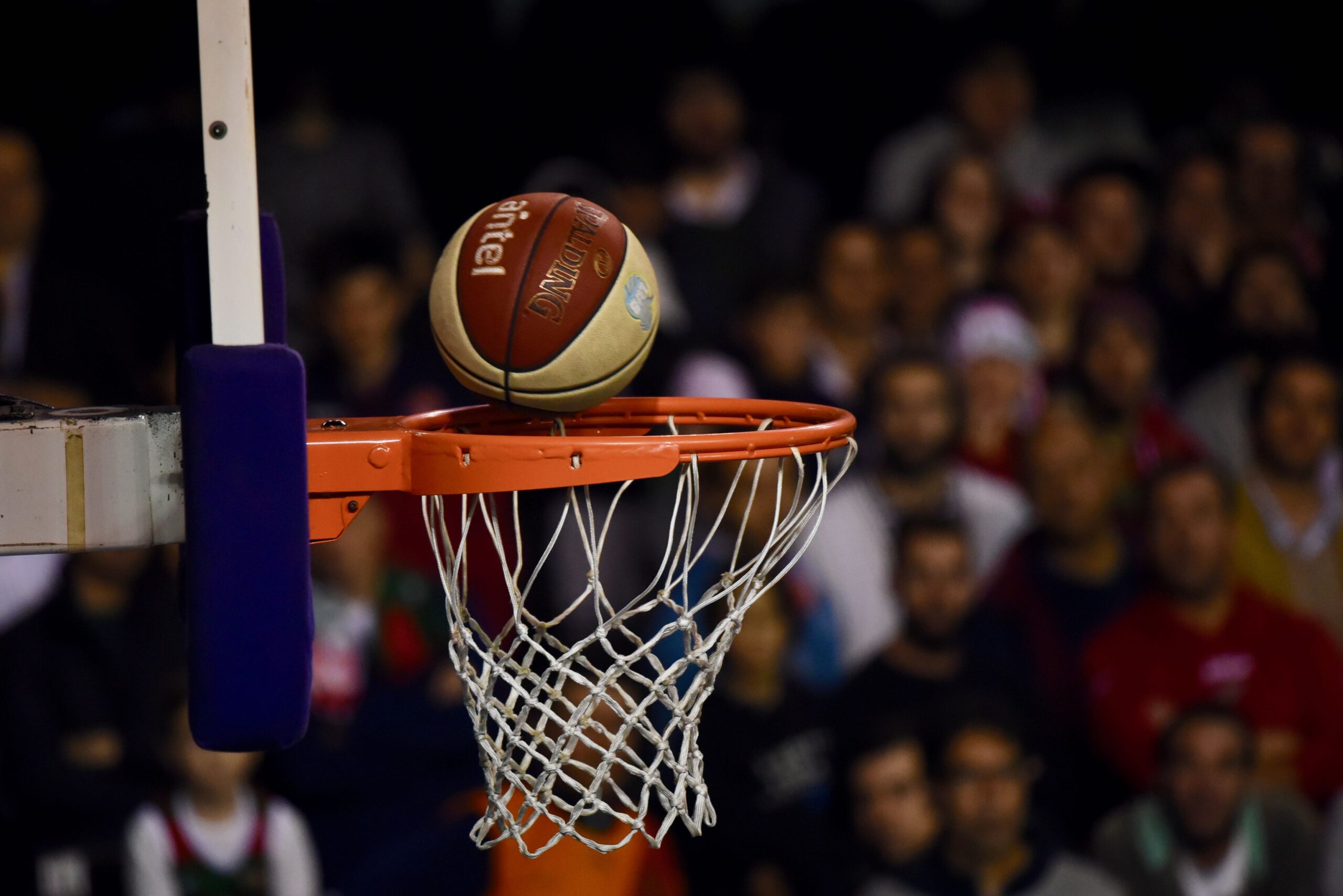 Selección de Básquetbol
