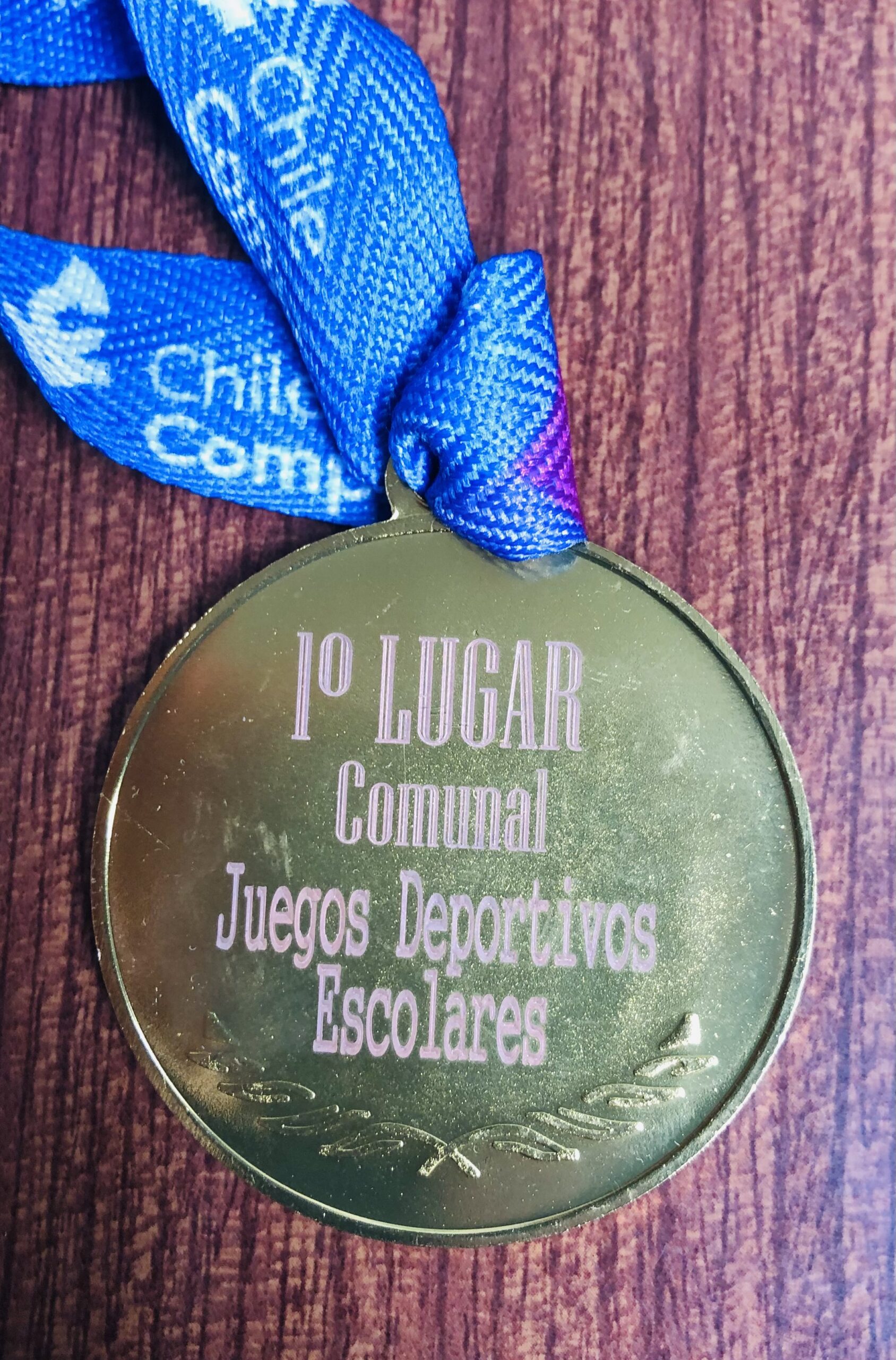 EQUIPO DE BALONMANO LICEO MANUEL MONTT  TRI CAMPEÓN COMUNAL JUEGOS DEPORTIVOS ESCOLARES