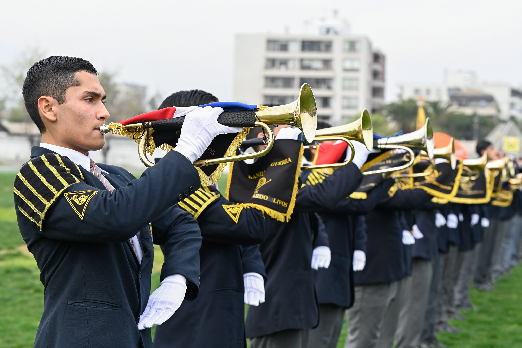 Trofeos y premios de la Banda este 2024.